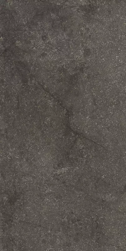 florim-stone-life-graphit-60x120-matte-6mm.webp