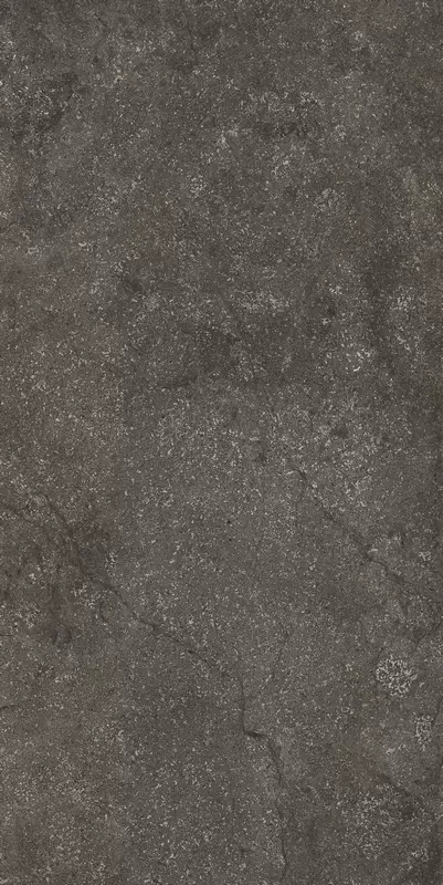 florim-stone-life-graphit-60x120-matte-9mm.webp