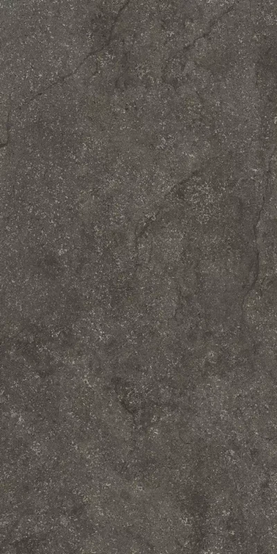 florim-stone-life-graphit-120x240-matte.webp