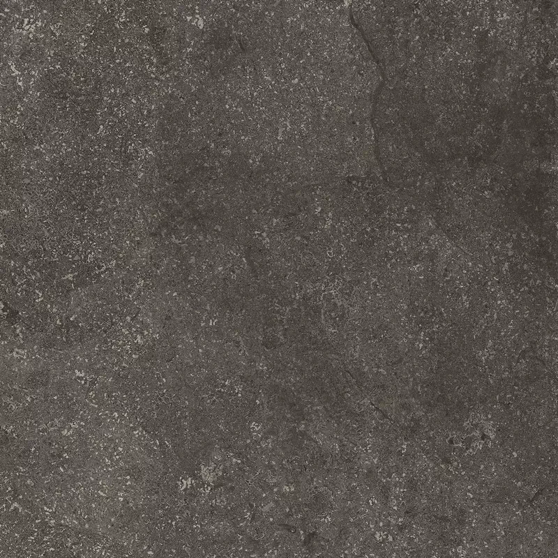 florim-stone-life-graphit-120x120-matte.webp
