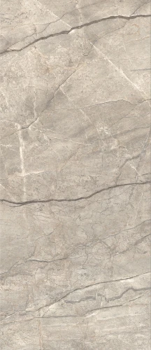 Płytki gresowe Caesar Anima Futura Amazing Silver Sign 120x278 silk