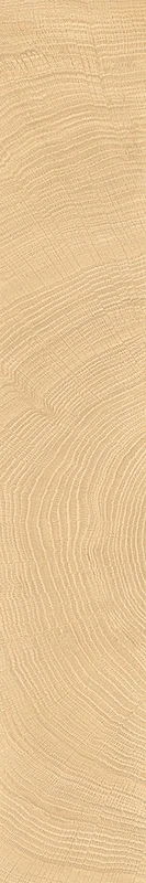 provenza-w-circles-oak-20x120-naturale.webp