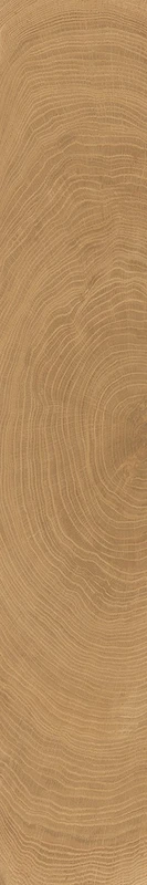 provenza-w-circles-walnut-20x120-naturale.webp