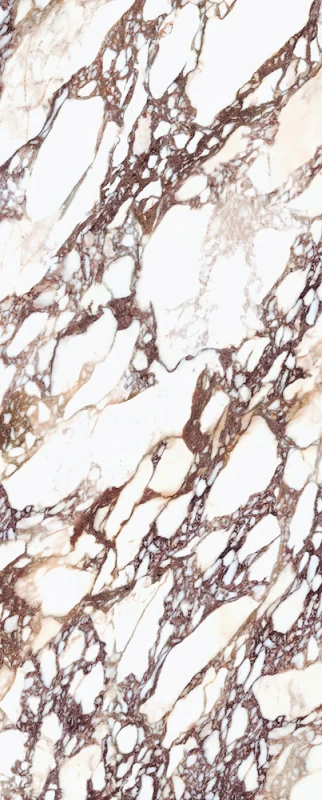 laminam-i-naturali-calacatta-viola-120x300-lucidato-netdom.webp