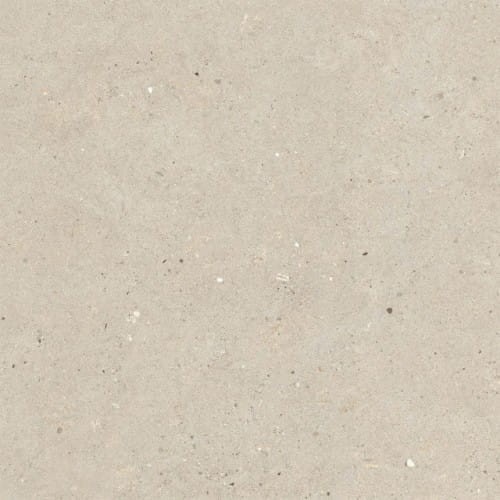 italgraniti-silver-grain-beige-80x80-naturale.jpg